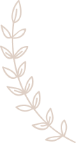 Hoja